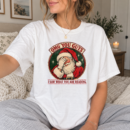 BOOKISH SANTA COMFORT COLORS T-SHIRT